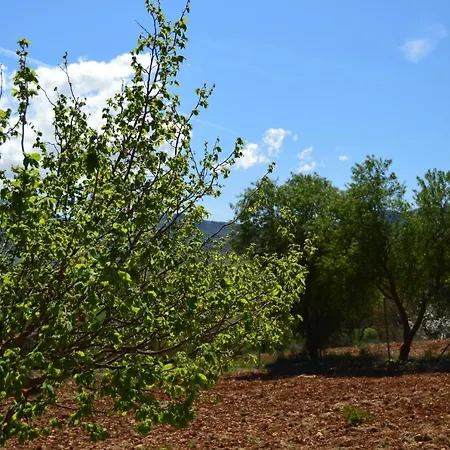 Cortijo Petra *
