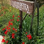 住宿加早餐酒店 Cortijo Petra
